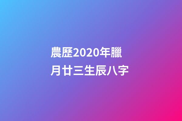 農歷2020年臘月廿三生辰八字 (2020農歷臘月二十三出生屬什么)-第1張-觀點-玄機派